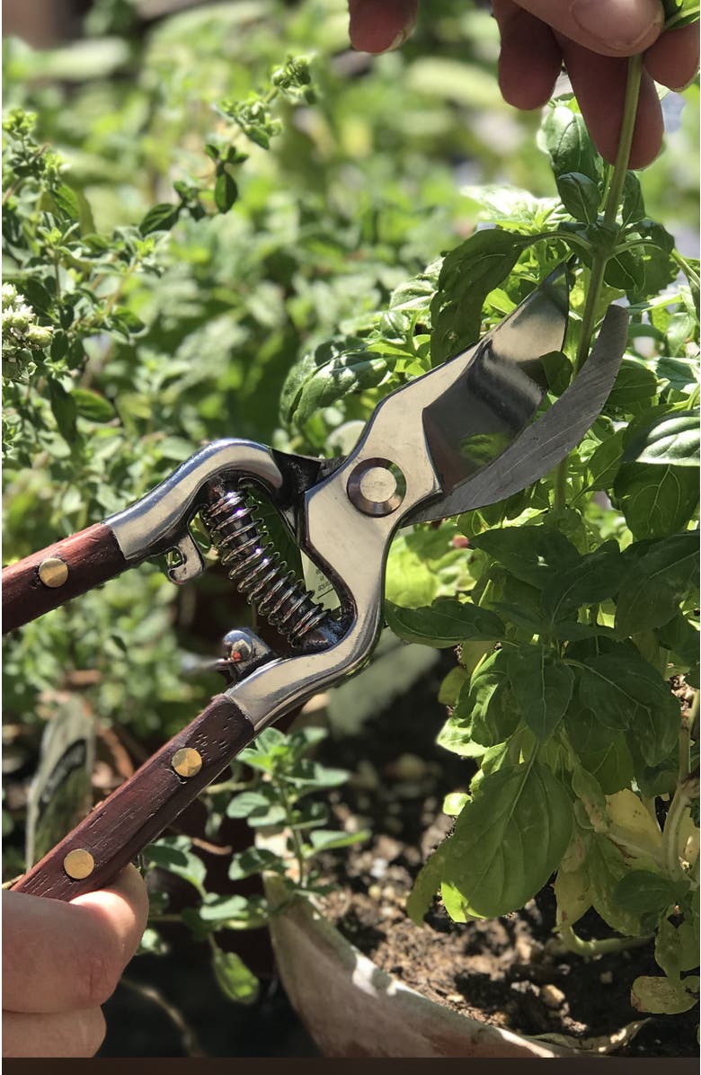 Verve Culture Thai Kitchen & Garden Shears, Alternate, color, NO COLOR