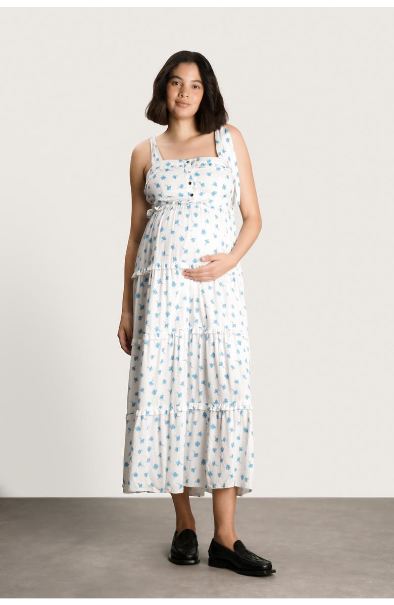 Nom Maternity Mara Maternity & Nursing Maxi Dress, Main, color, Blue Floral