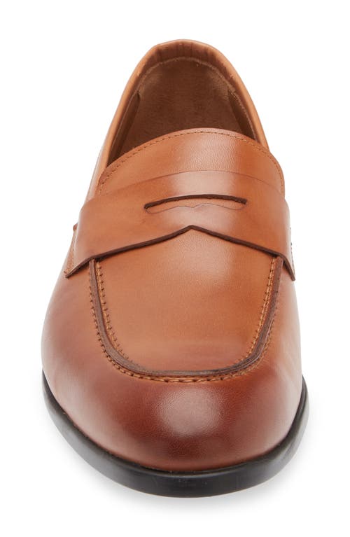 Bruno Magli Ricci Penny Loafer In Cognac