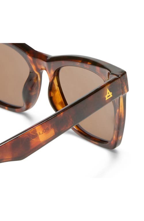 Aire Bellatrix 48mm Gradient Small Cat Eye Sunglasses In Dark Tort/brown Mono Pol