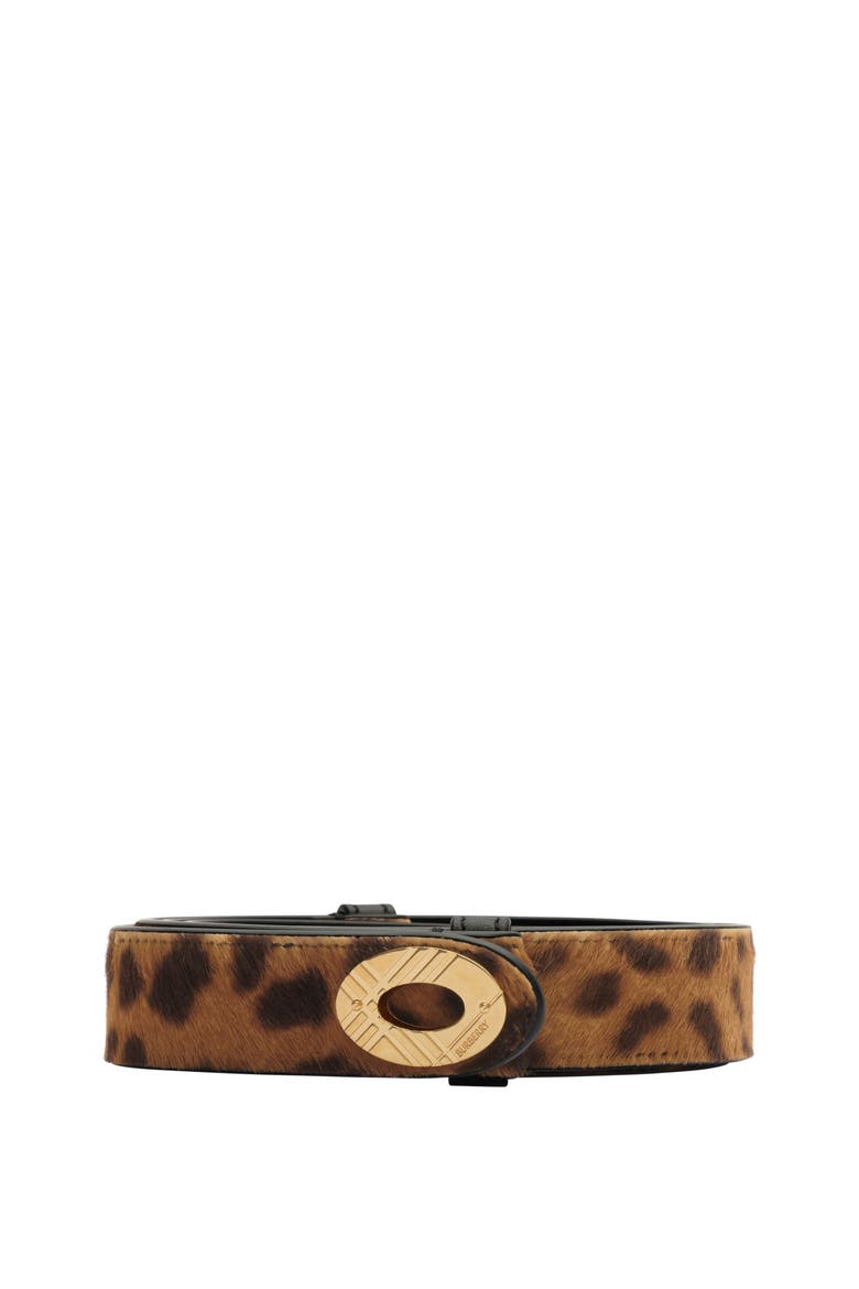 Leopard Print Cotswolds Belt, Main, color, Leopard/black