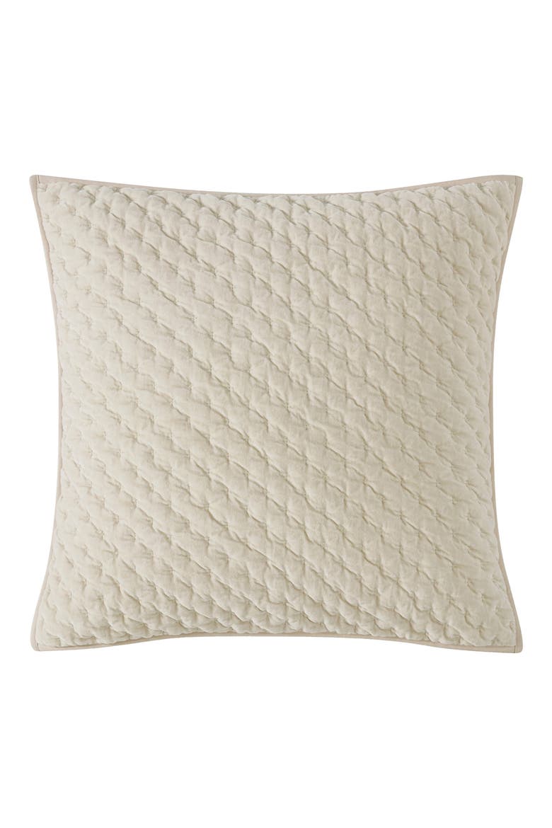 Velvet Quilt Euro Pillow Sham video