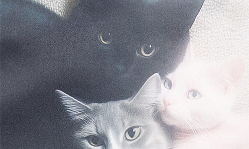 Ashley Williams Kitten Trio Miniskirt In Gold