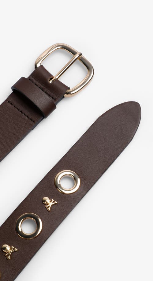 Scalpers Eyelet Skull Belt In Burgundy