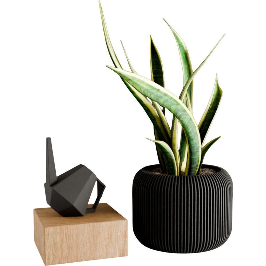Modernized Pottery Orbis Planter