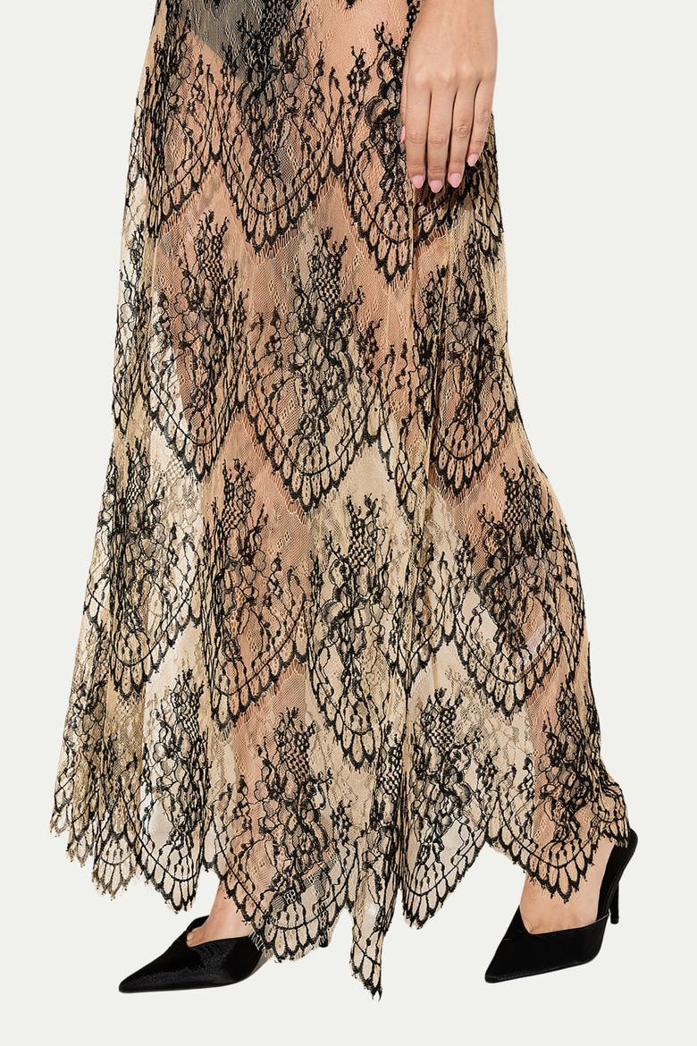 Premium Sheer Lace Maxi Dress, Alternate, color, Nude