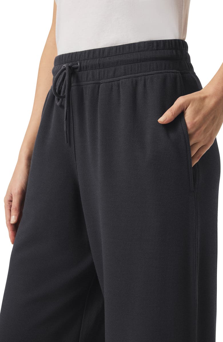 Splendid Waffle Scuba Knit Pants, Alternate, color, 