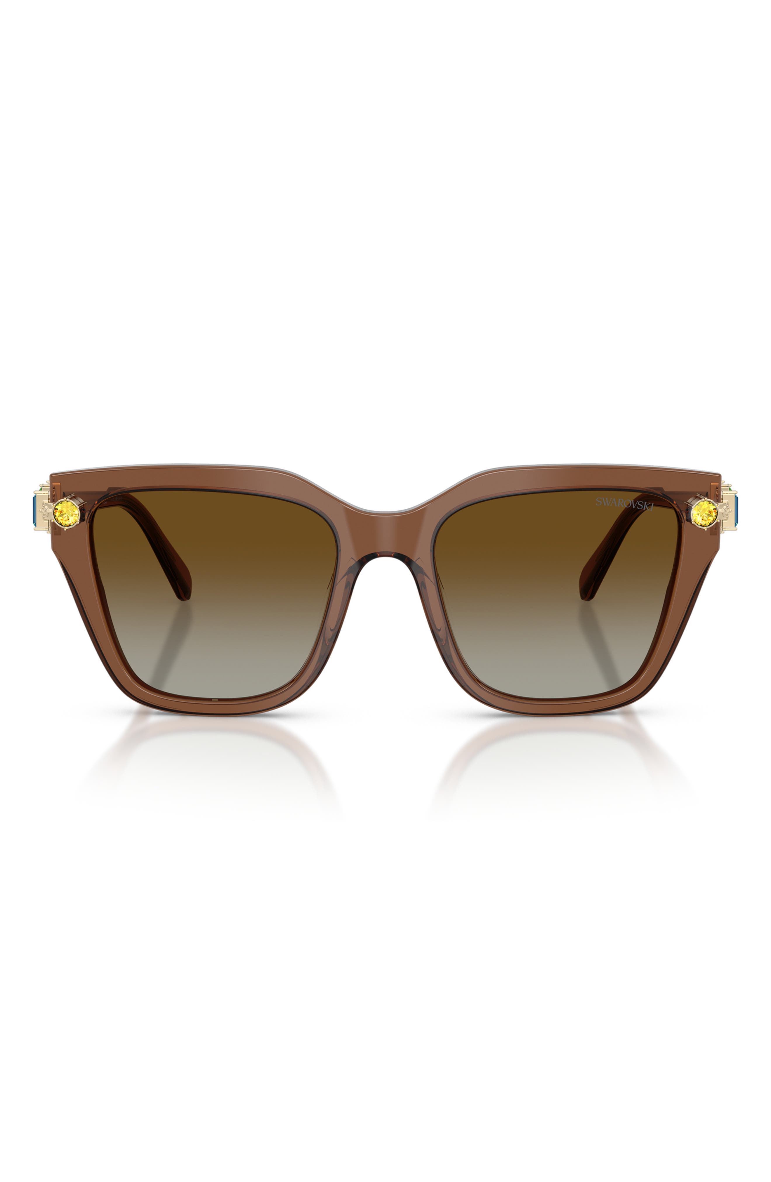 BROWN / BROWN POLAR