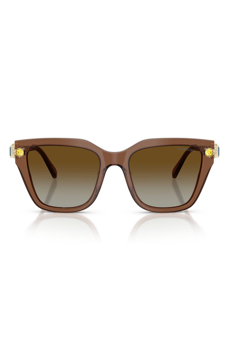Swarovski 53mm Irregular Sunglasses, Main, color, Brown / Brown Polar