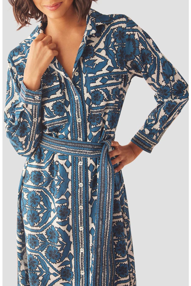 Cotton Palma Maxi Dress, Alternate, color, TESSA SANTORINI