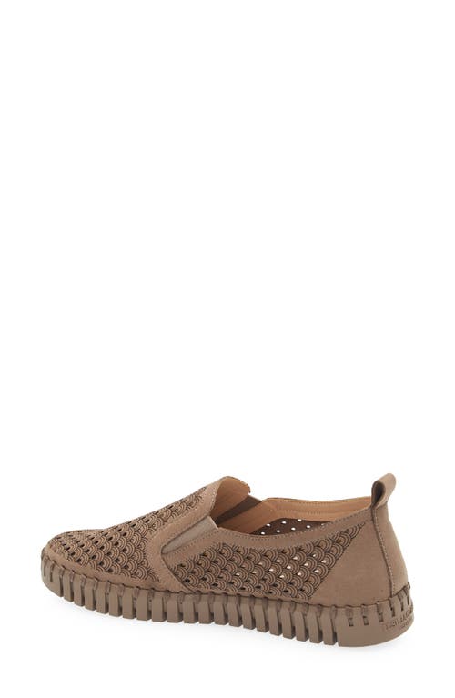 Ilse Jacobsen Tulip Slip-on Sneaker In Brown