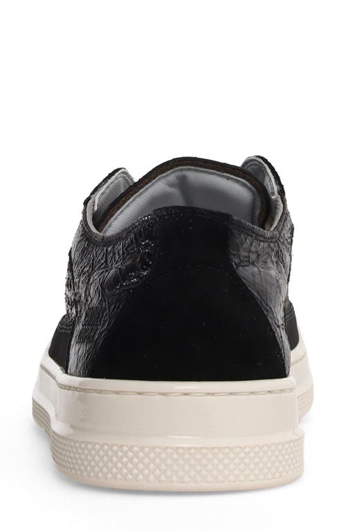 Candice Cooper Tim Perforated Leather Lace-up Sneaker In Black