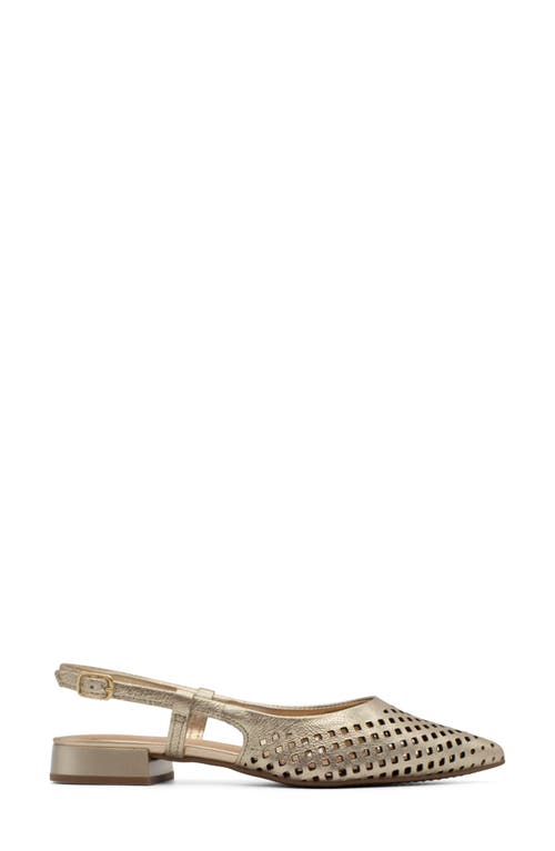 Bottero Botalessandra Slingback Pointed Toe Pump