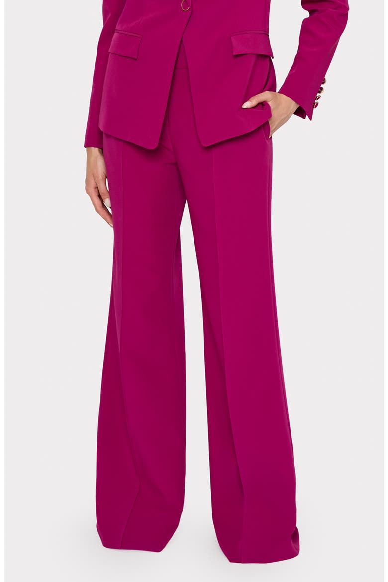 Nash Cady Wide Leg Pants, Main, color, PLUM