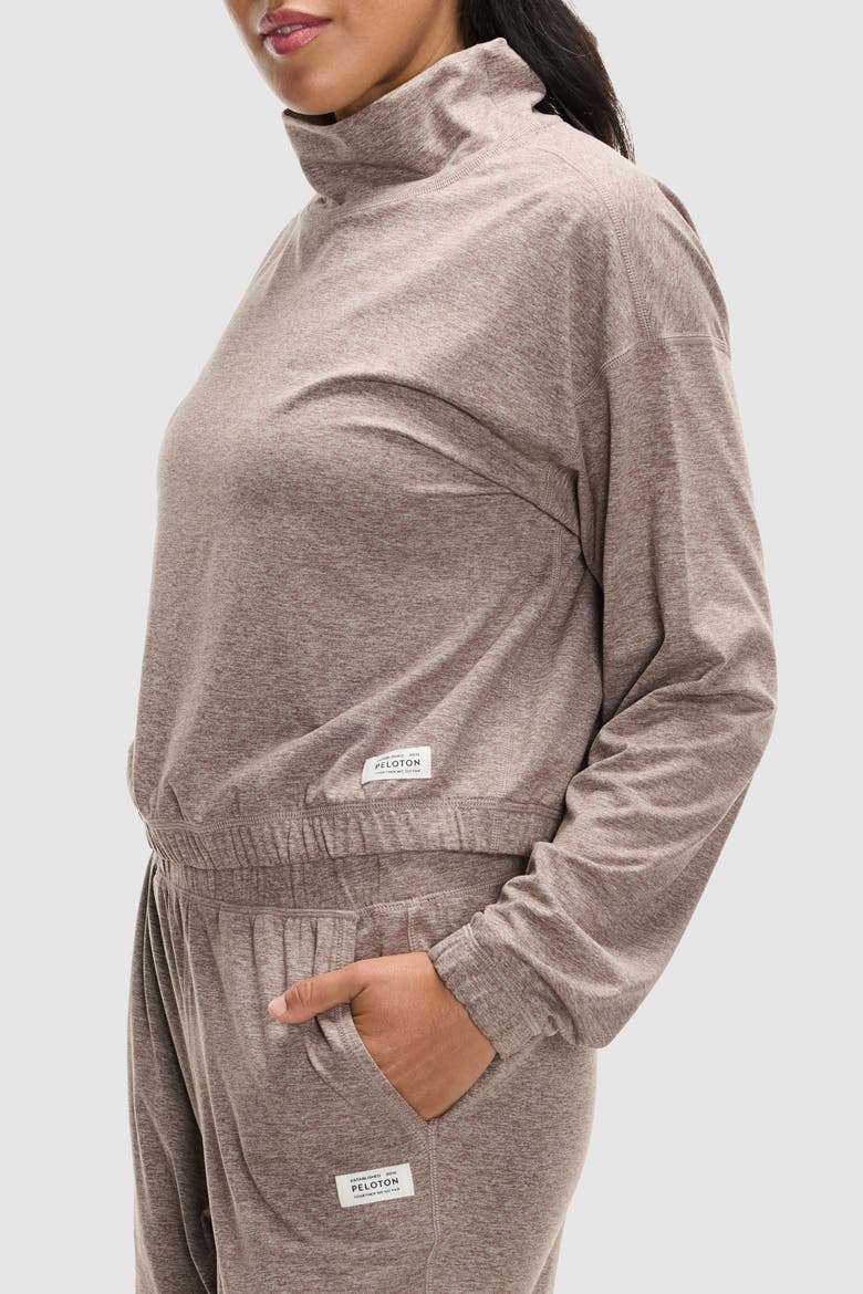 Dreamblend Funnel Neck, Alternate, color, Taupe Grey