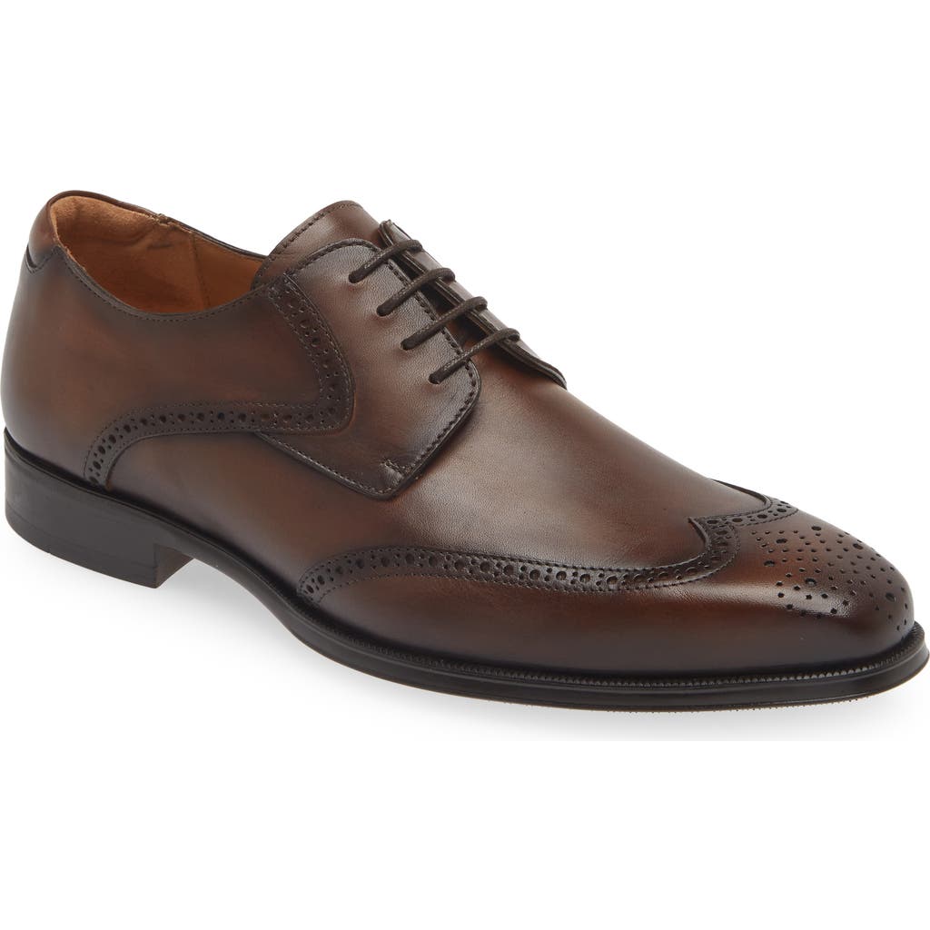 Mezlan Tasso Brogue Derby in Chestnut