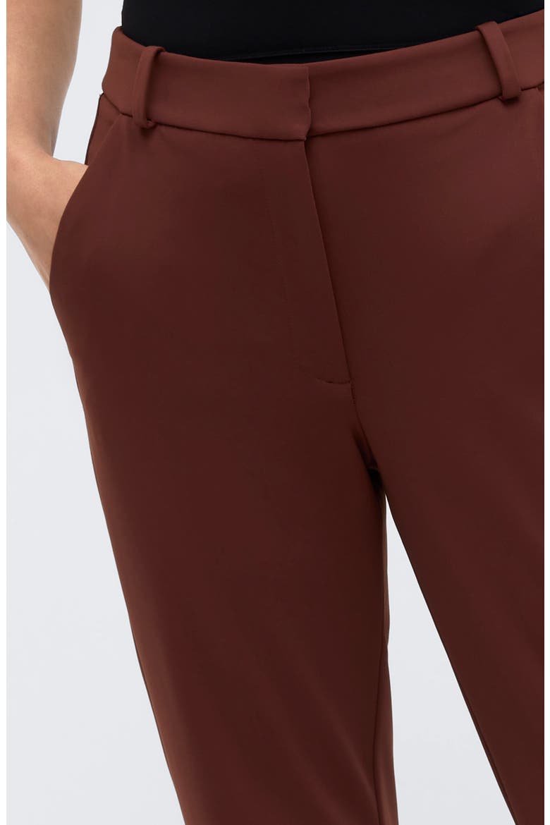 Straight Leg Pants, Alternate, color, DEEP CHESTNUT