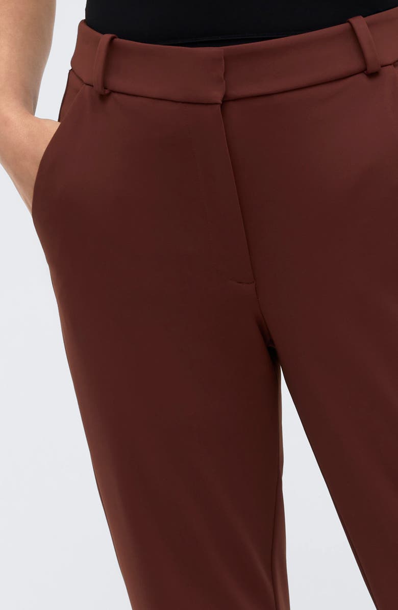 Kenneth Cole Straight Leg Pants, Alternate, color, Deep Chestnut