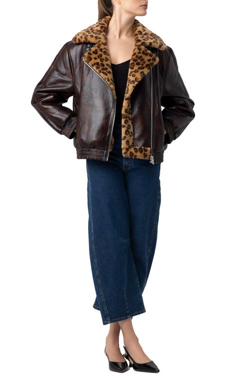 Blanknyc Faux Leather & Faux Shearling Moto Jacket In Brown