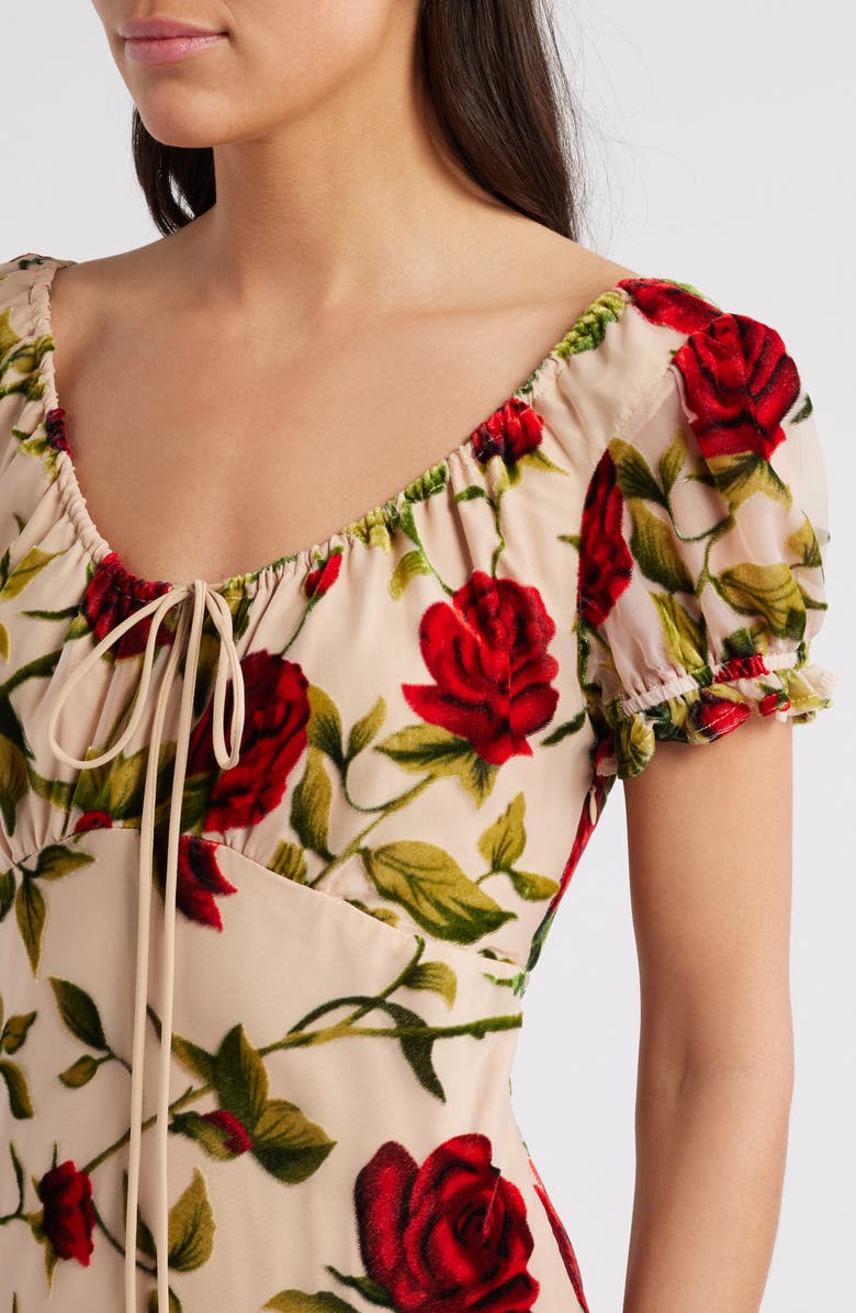 Rare London Rose Devoré Maxi Dress, Alternate, color, Beige Multi