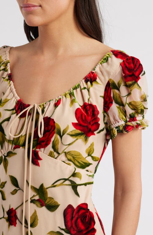 Rare London Rose Devoré Maxi Dress In Beige Multi