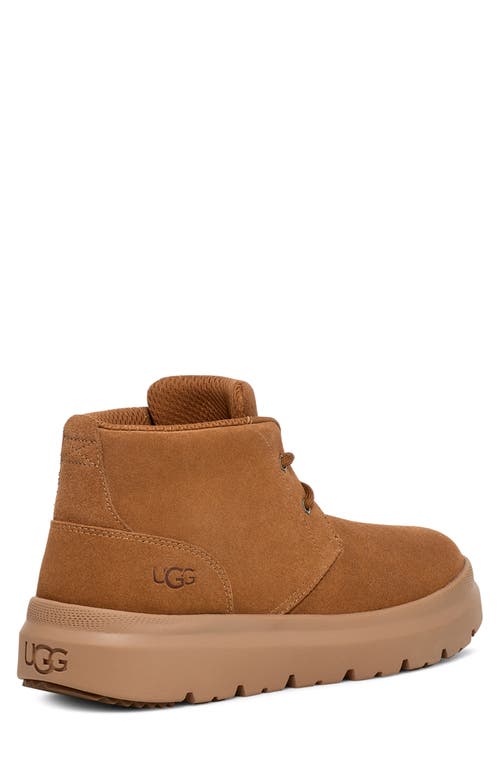 Shop Ugg ® Burleigh Chukka