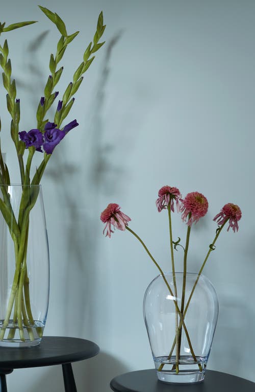 Lsa Flower Garden Bouquet Glass Vase In Transparent
