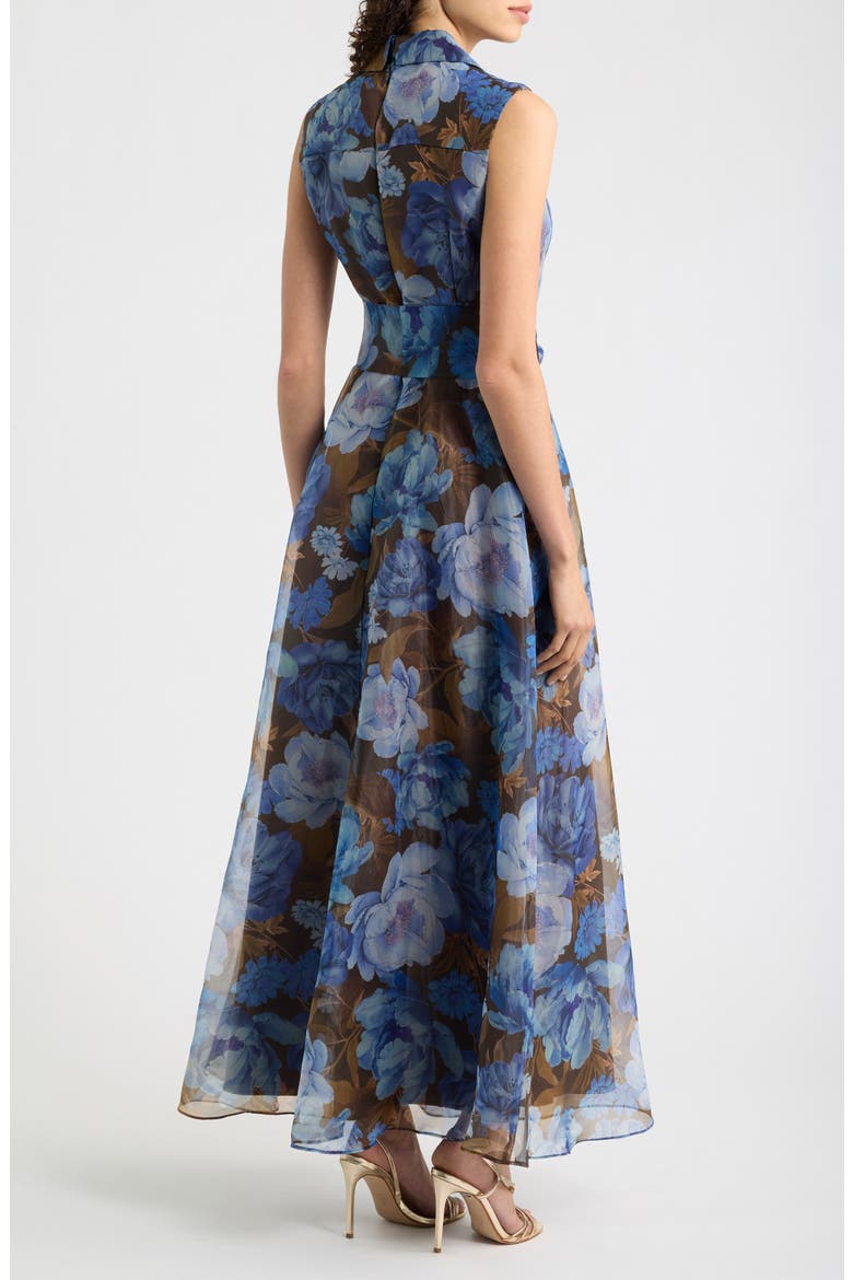 Tie Waist Maxi Dress, Alternate, color, BROWN BLUE