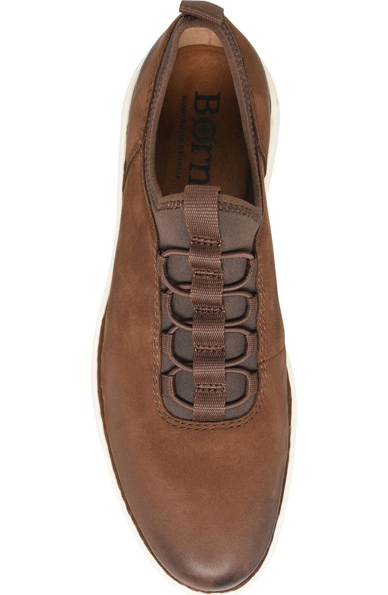 Børn Torrens Oxford, Alternate, color,