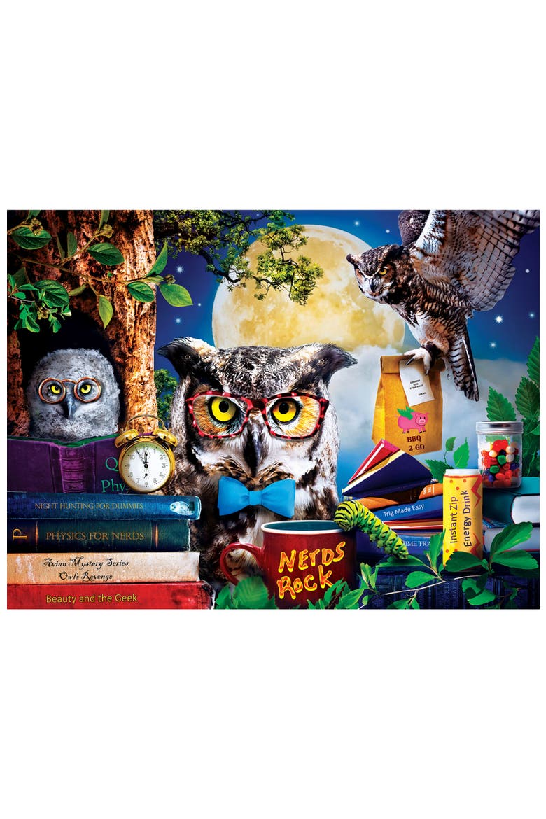 Night Owls Study Group 300 Piece Puzzle, Alternate, color, Multicolor
