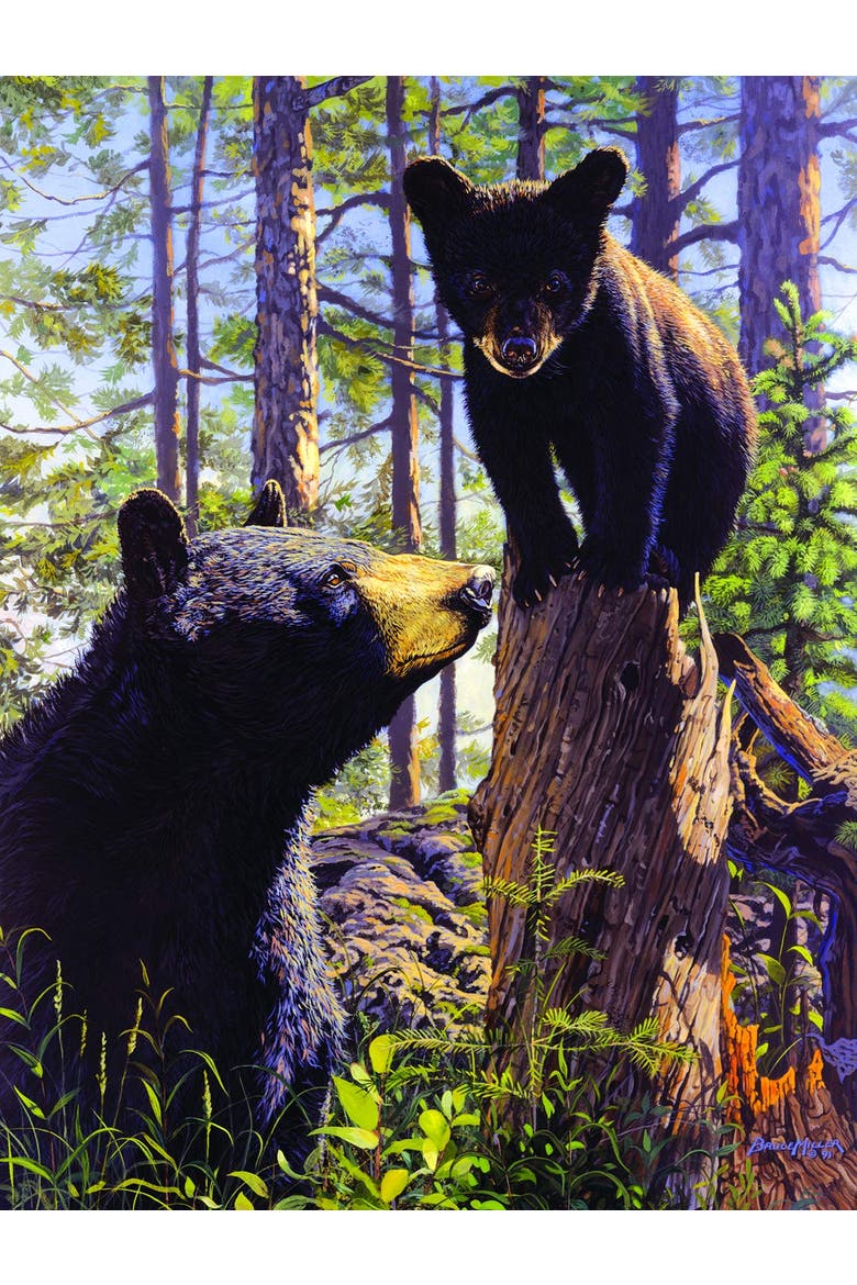 Stump Jumper 500 piece Jigsaw Puzzle for Adults, Alternate, color, Multicolor