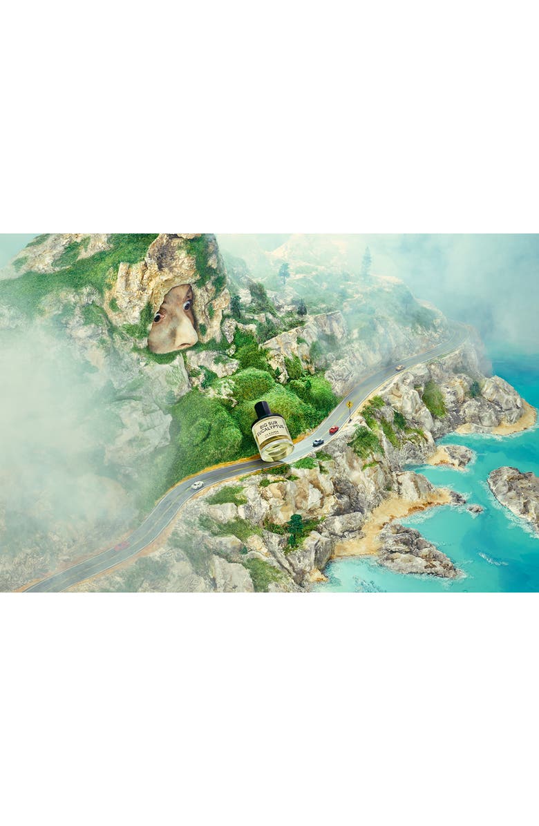 D.S. & Durga Big Sur Eucalyptus Eau de Parfum, Alternate, color,