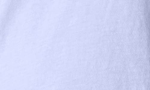 Eileen Fisher Easy V-neck Organic Cotton T-shirt In Bellflower
