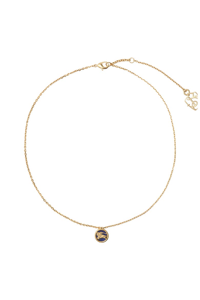 Knight Coin Necklace, Main, color, Gold/blue