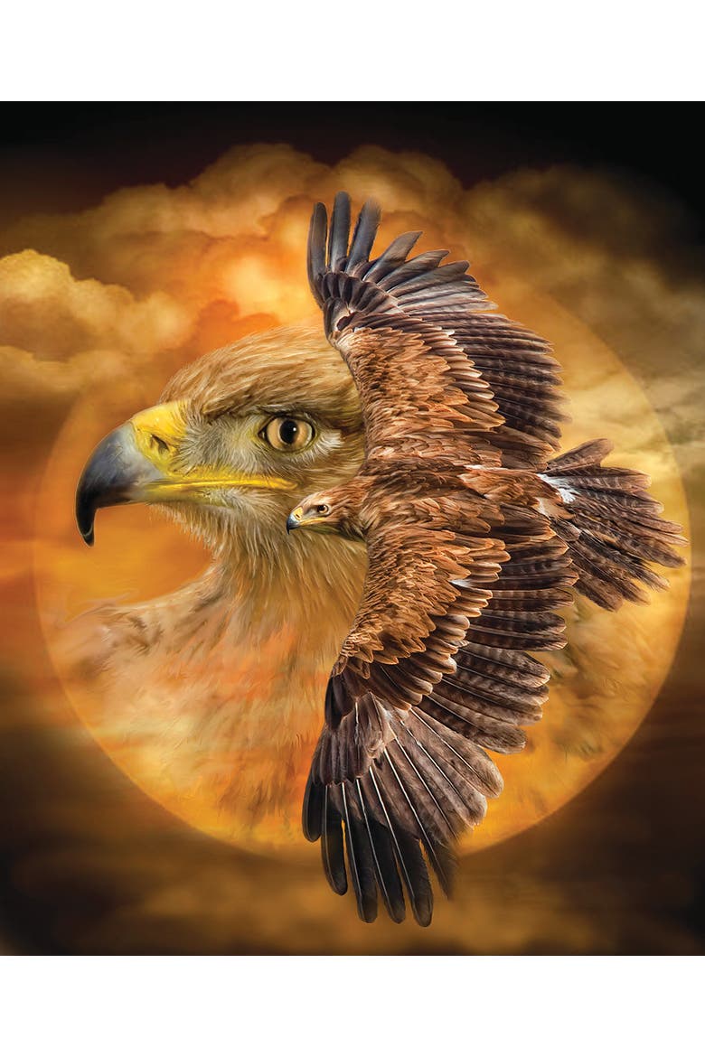 Spirit of the Wind 1000 piece Jigsaw Puzzle for Adults, Alternate, color, Multicolor