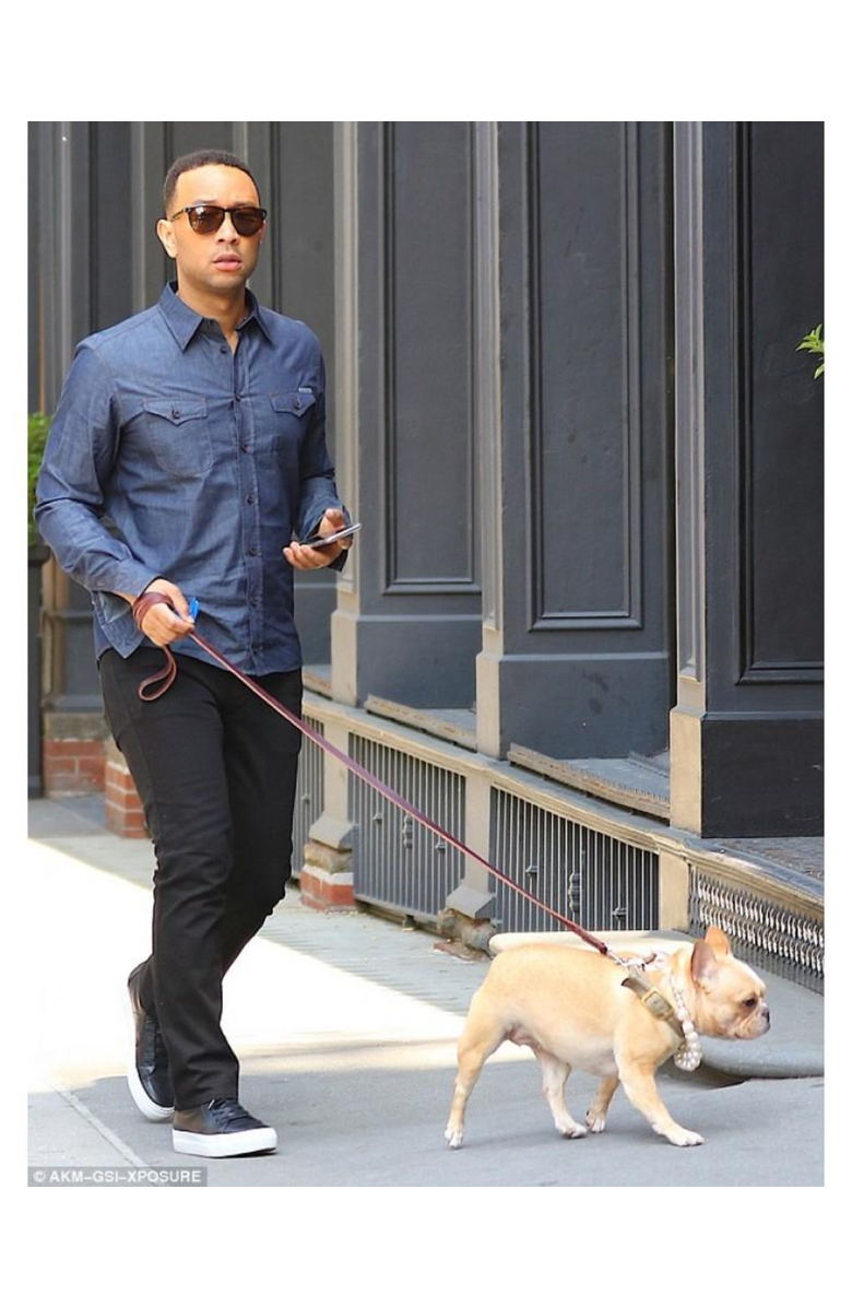 Moshiqa Dubai Dog Necklace, Alternate, color, 