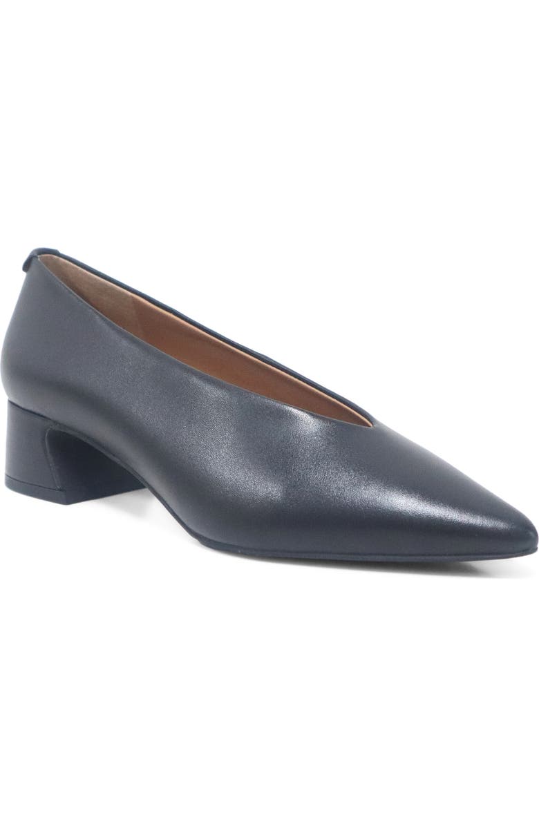 Gentle Souls Galleria Pointed Toe Pump, Main, color, Black Leather