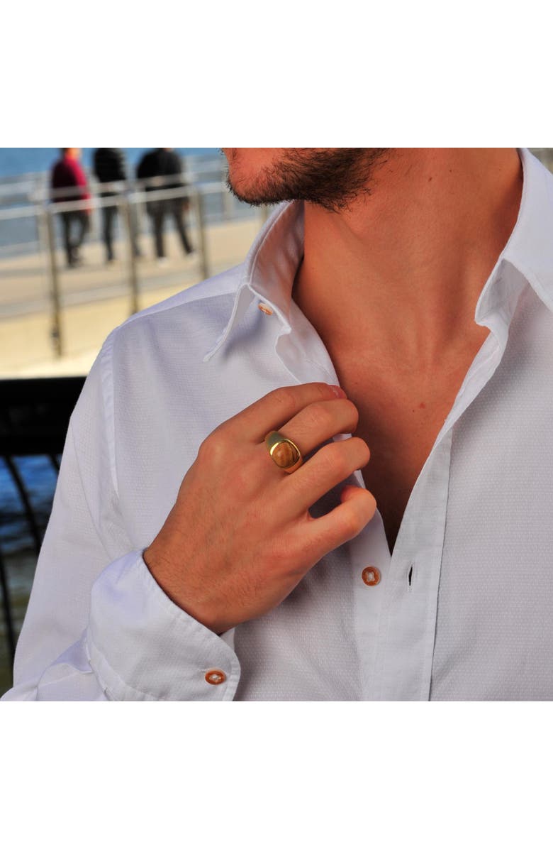 LuvMyJewelry Wood Jasper Iconic Sterling Silver Men Signet Ring, Alternate, color, 14Kt Gold Vermeil On Sterling