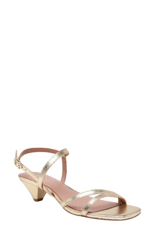 Linea Paolo Cannes Strappy Sandal In Gold