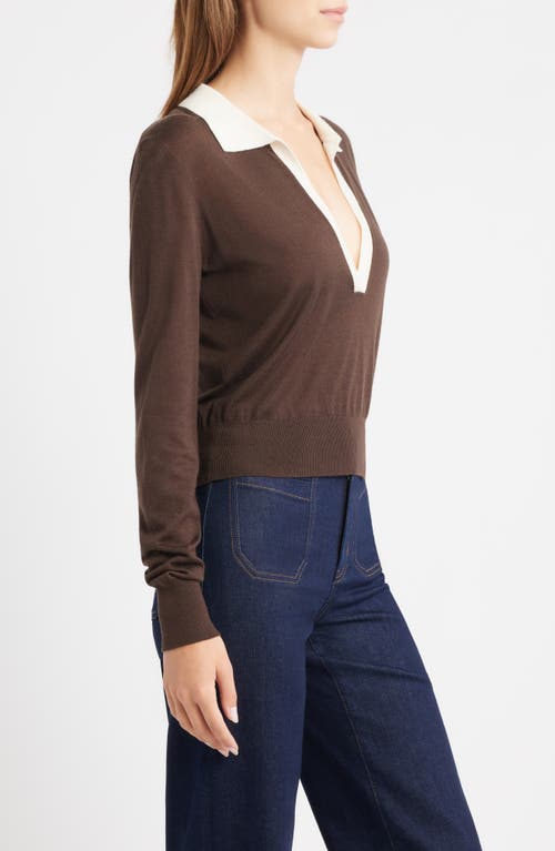 Frame Two-tone Long-sleeved Polo Shirt In Brown