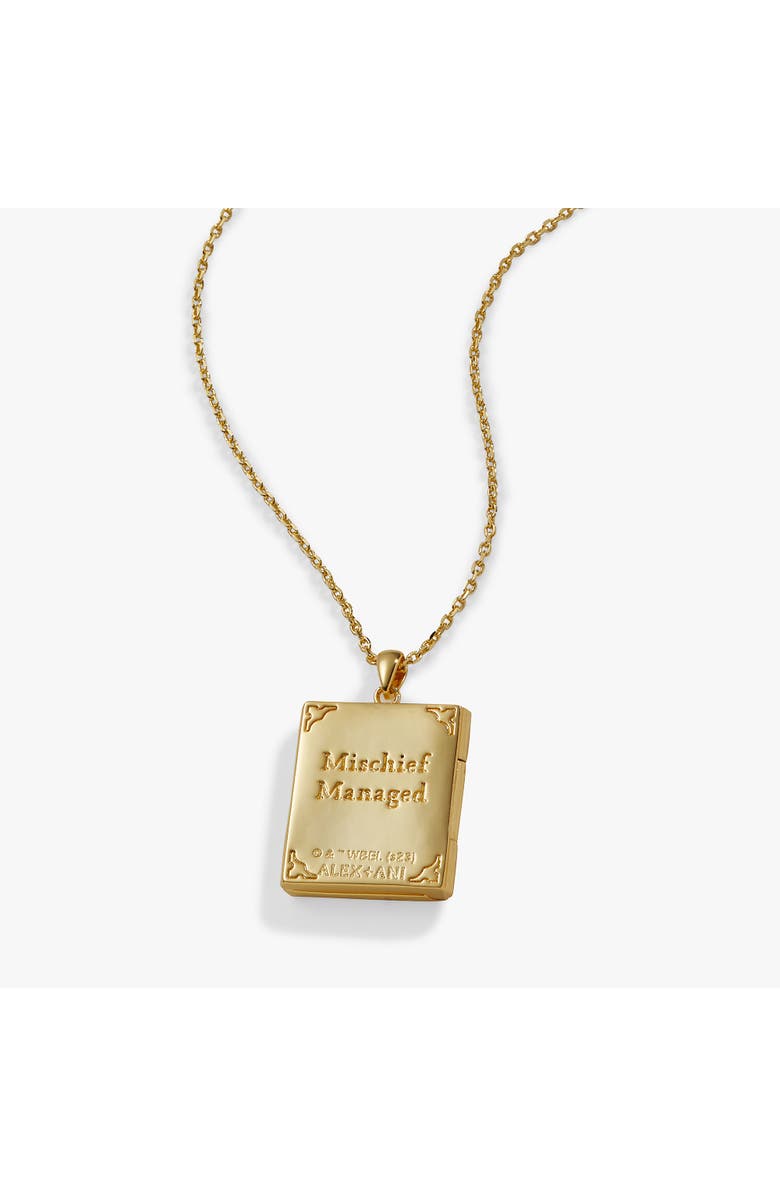 Alex and Ani Harry Potter<sup>™</sup> Mischief Managed Locket Necklace, Alternate, color, 