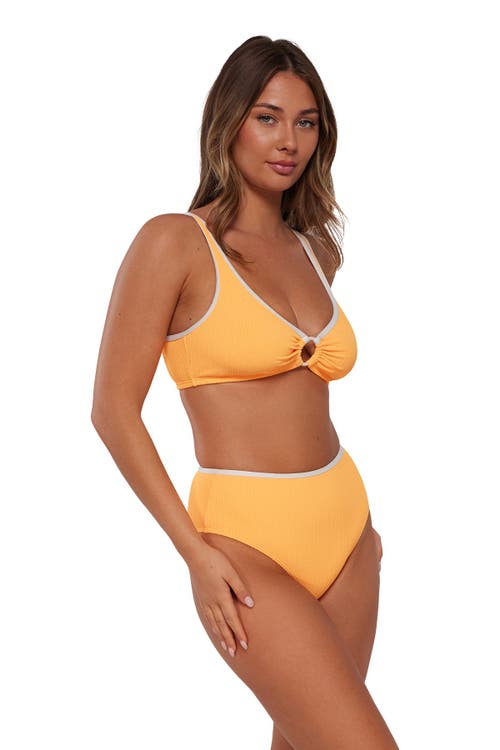 Pacifica By Sunsets Astrid High Waist Bikini Swim Bottoms