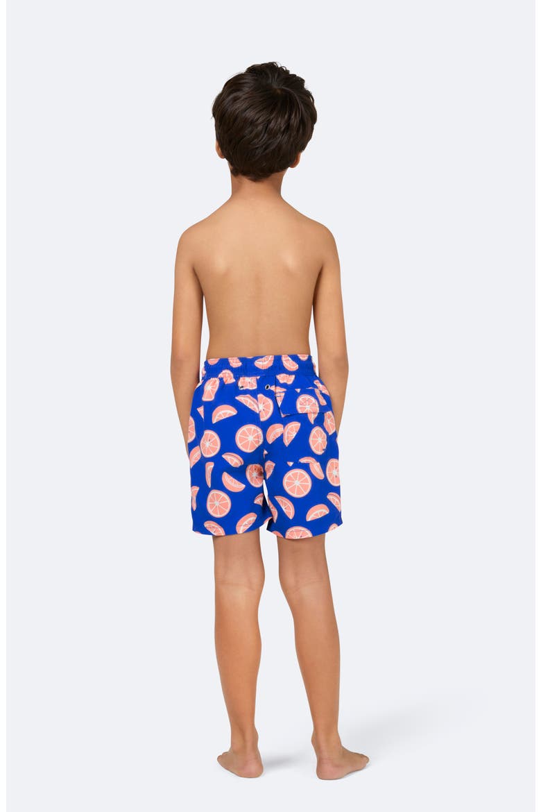 Kids' Citrus Print Swim Trunks, Alternate, color, COBALT & PINK