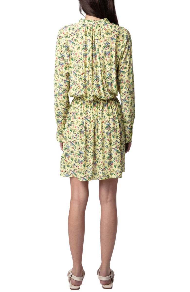 Zadig & Voltaire Rinka Floral Long Sleeve Dress, Alternate, color, 