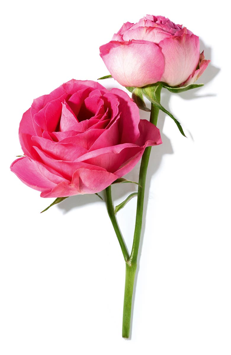 Lancôme Trésor Eau de Parfum Spray, Alternate, color,