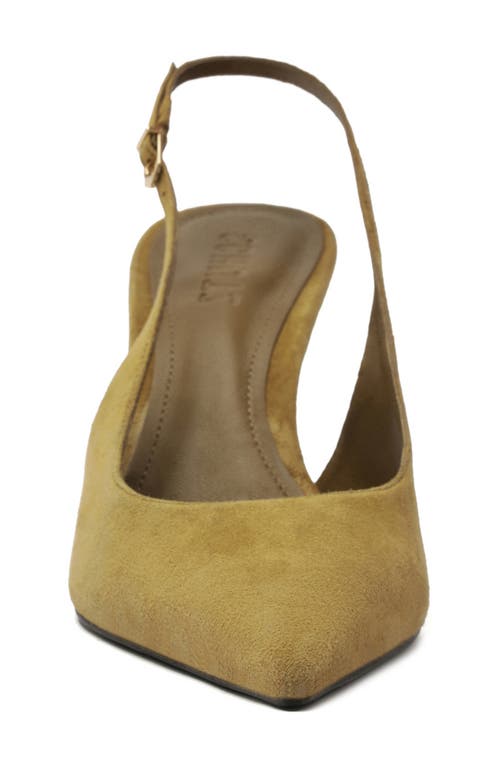 Schutz Alicia Pointed Toe Slingback Pump