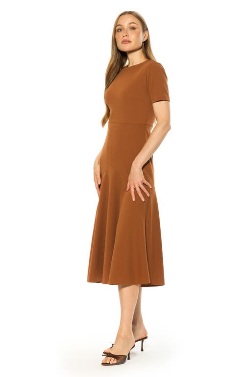 Alexia Admor Lennox Fit And Flare Dress In Brown