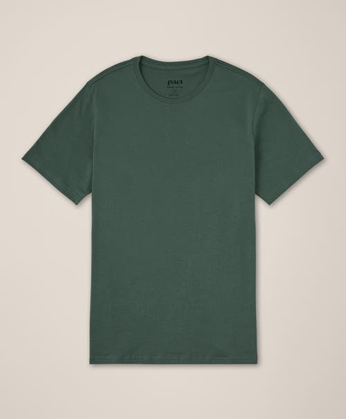 Pact Organic Cotton Softspun Crew Neck Tee In Green