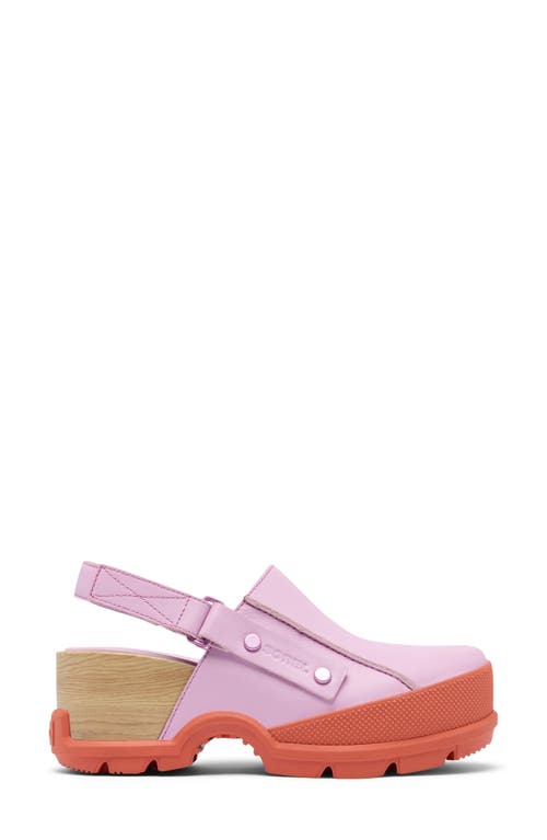 Sorel Roam'n Rbr Clog In Aura/tuscan