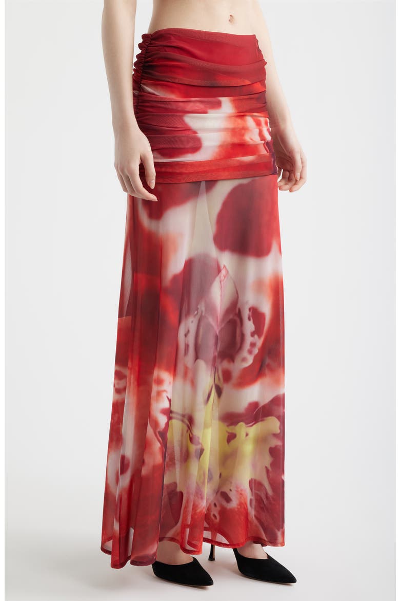 Susurro Print Ruched Mesh Maxi Skirt, Alternate, color, BLUSH